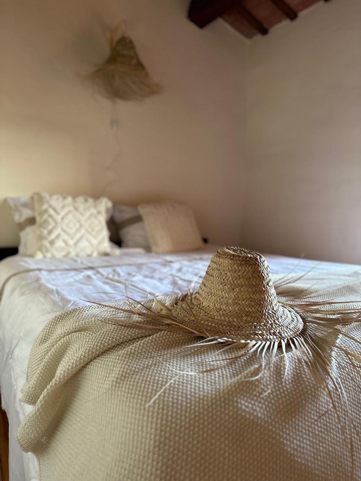 B&B La Vista Brava Platja d'Aro Eksteriør billede