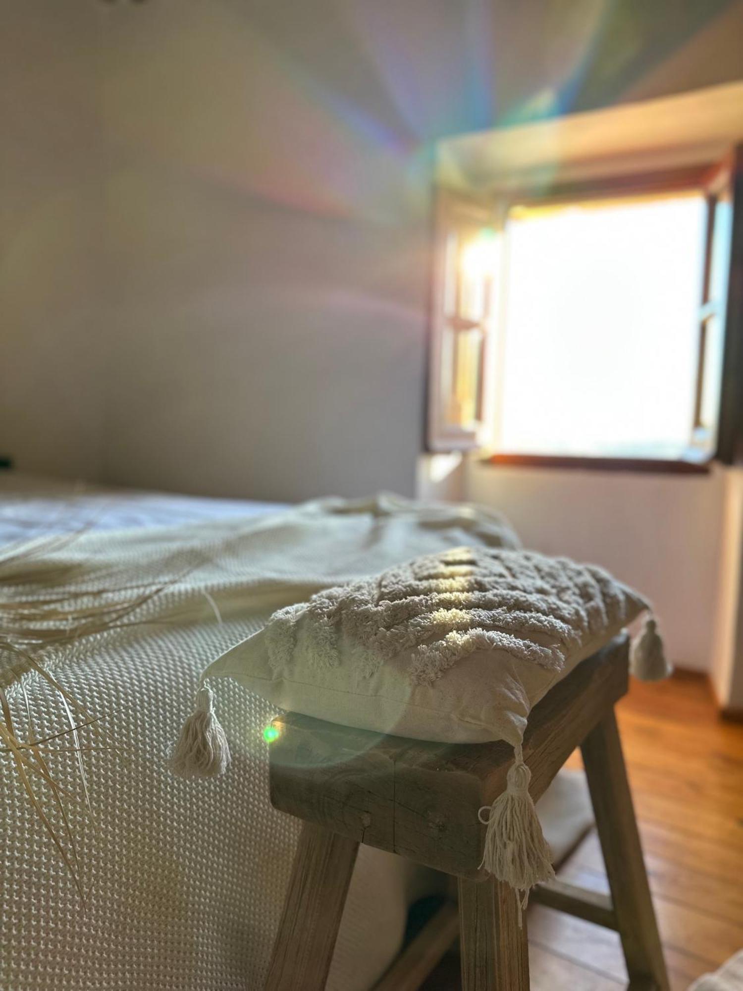 B&B La Vista Brava Platja d'Aro Eksteriør billede