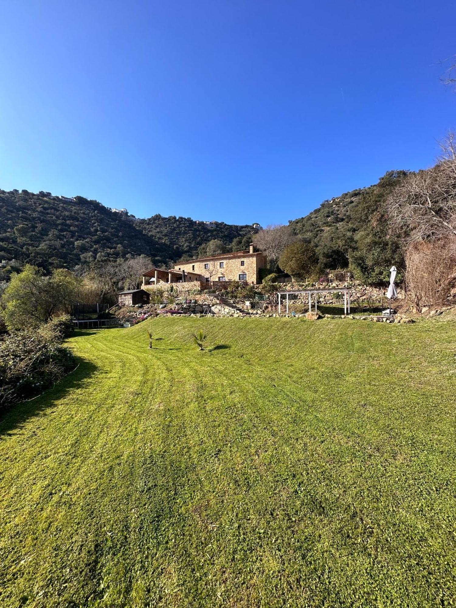 B&B La Vista Brava Platja d'Aro Eksteriør billede